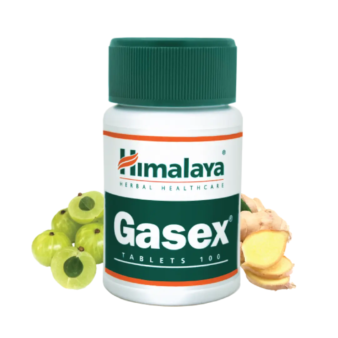 Himalaya Gasex - 100 tabs
