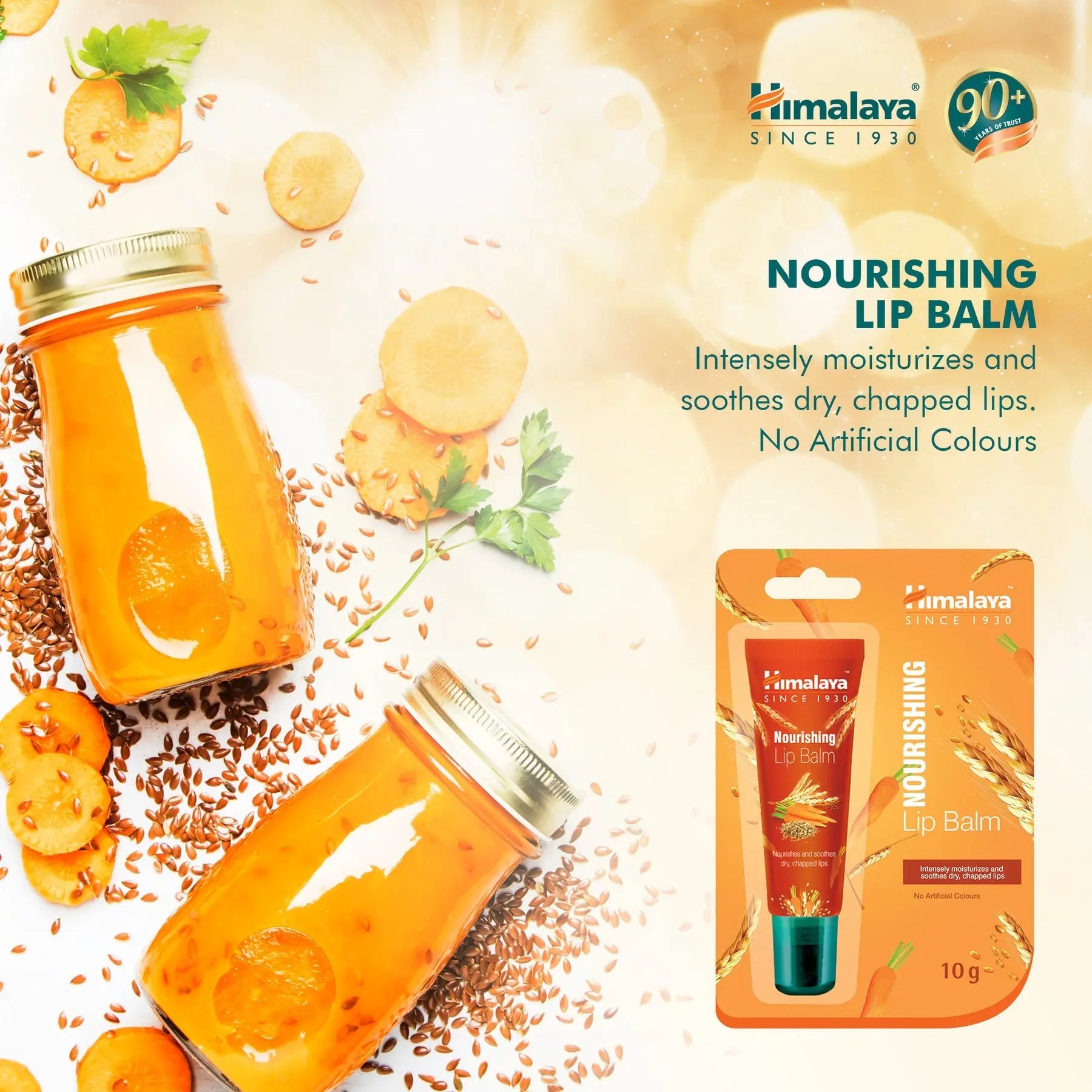 Himalaya Nourishing Lip Balm - 10 g
