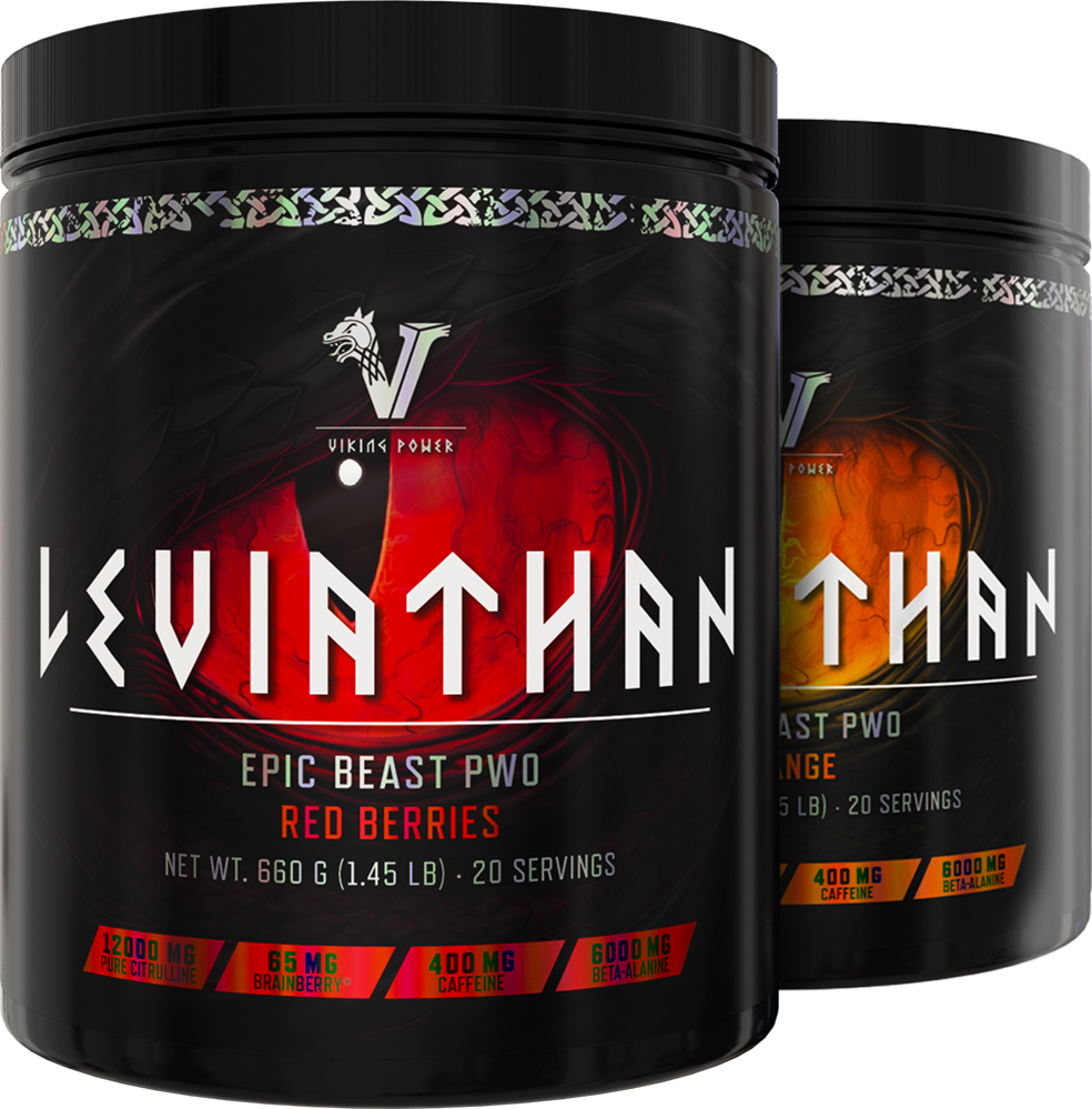Viking Power Leviathan Hardcore PWO - 660 g